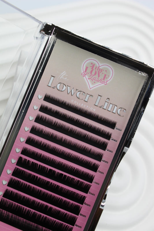The Lower Line: Bottom Lash Tray